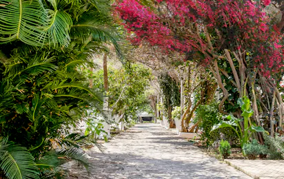 Kalamitsi Beach Camping Village