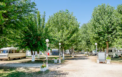 Kalamitsi Beach Camping Village
