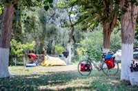 Kalamitsi Beach Camping Village - Zelt auf Stellplatz zwischen Bäumen