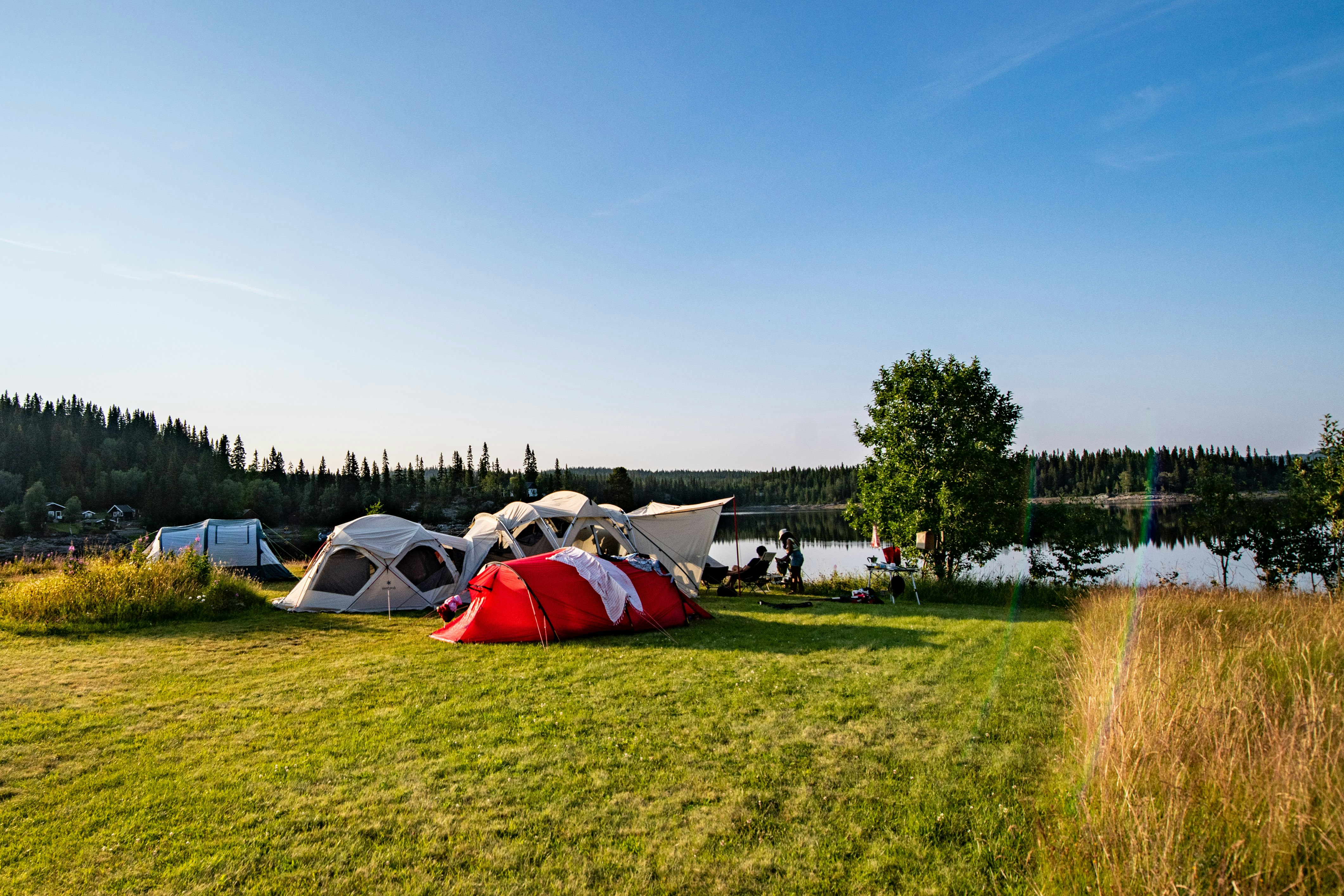 Kallsedets Fjällcenter - Zeltwiese auf dem Campingplatz
