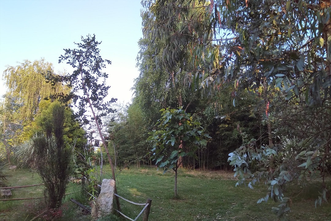 Kamp Eucalyptus - Blick auf die Standplätze auf der Wiese