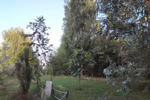 Kamp Eucalyptus - Blick auf die Standplätze auf der Wiese