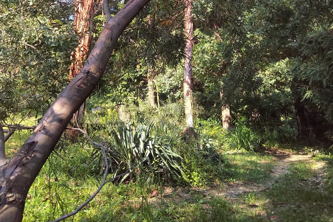 Kamp Eucalyptus - Natur auf dem Campingplatz