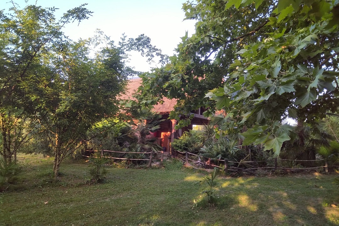 Kamp Eucalyptus - Standplätze im Grünen auf dem Campingplatz