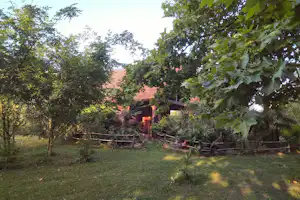 Kamp Eucalyptus - Standplätze im Grünen auf dem Campingplatz