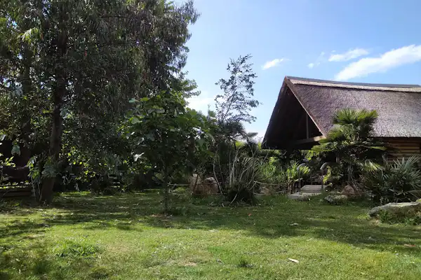 Kamp Eucalyptus