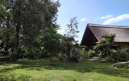Kamp Eucalyptus