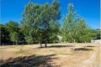 Kamp Karin - Bäume beschatten die Stellplätze auf dem Campingplatz