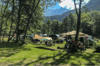 Kamp Lazar - Camping Bullis zwischen Bäumen auf dem Campingplatz