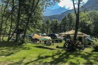 Kamp Lazar - Camping Bullis zwischen Bäumen auf dem Campingplatz