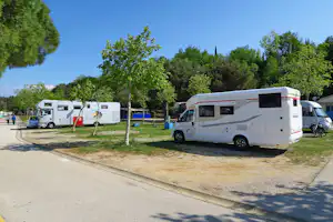 Kamp Lucija - Standplätze umgeben von kleinen Bäumen