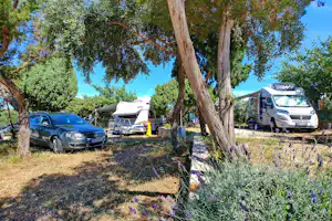 Kamp Lupis - Wohnwagen- und Zeltstellplatz auf dem Campingplatz