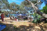 Kamp Lupis -  Wohnwagen- und Zeltstellplatz unter Bäumen auf dem Campingplatz