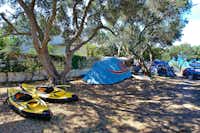 Kamp Lupis -  Zeltstellplätze zwischen Bäumen auf dem Campingplatz