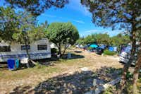 Kamp Lupis - Wohnwagen- und Zeltstellplatz im Grünen auf dem Campingplatz