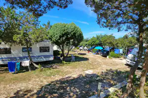 Kamp Lupis - Wohnwagen- und Zeltstellplatz im Grünen auf dem Campingplatz
