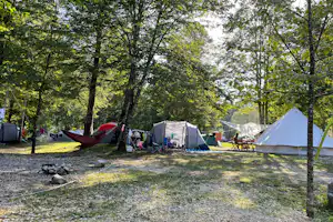 Campingplatz im Wald: mehrere Zelte, Hängematte und Campingstühle zwischen Bäumen auf einer Wiese.