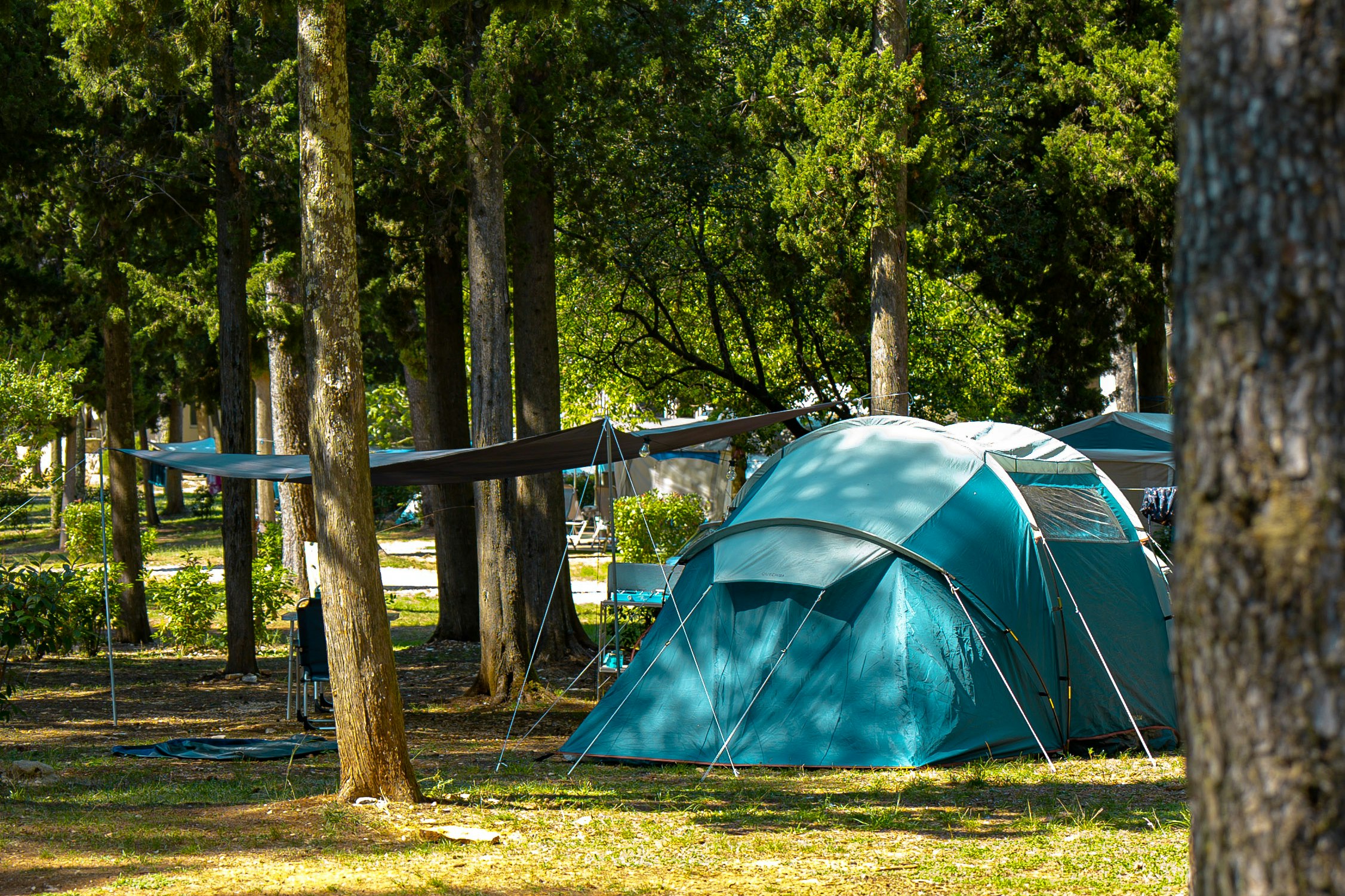 Kamp Pineta  Camping Pineta - Zeltplatz zwischen den Bäumen