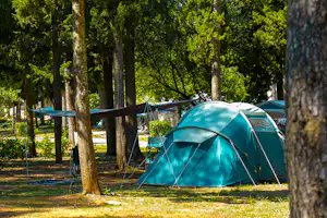 Kamp Pineta Camping Pineta - Zeltplatz zwischen den Bäumen