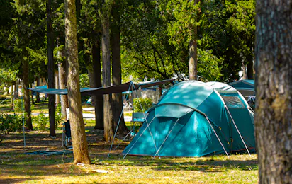 Camping Pineta