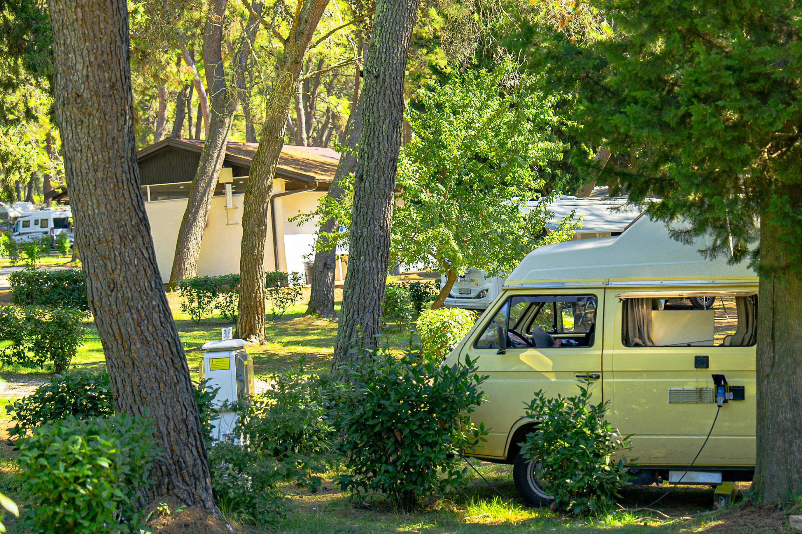 Kamp Pineta  Camping Pineta 