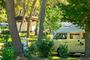 Kamp Pineta Camping Pineta