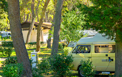 Camping Pineta