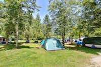 Kamp Polovnik - Zeltwiese mit Zelten zwischen Bäumen