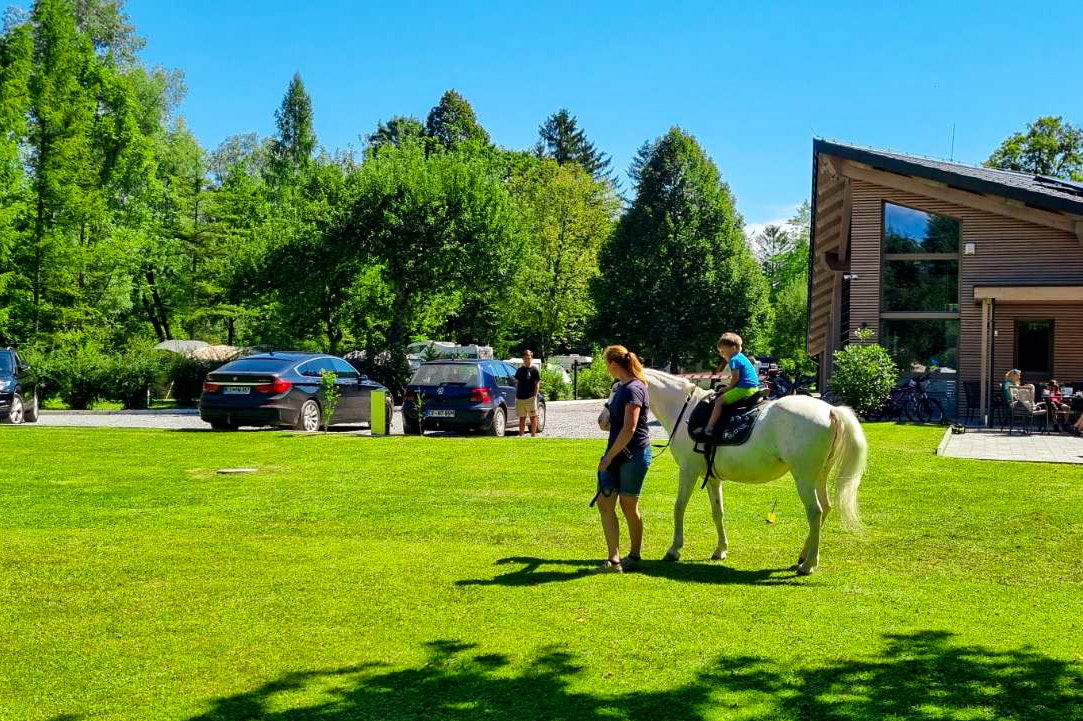 Kamp Savinja - Reiten als Freizeitaktivität auf dem Campingplatz