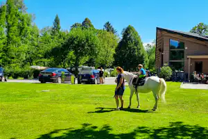 Kamp Savinja - Reiten als Freizeitaktivität auf dem Campingplatz