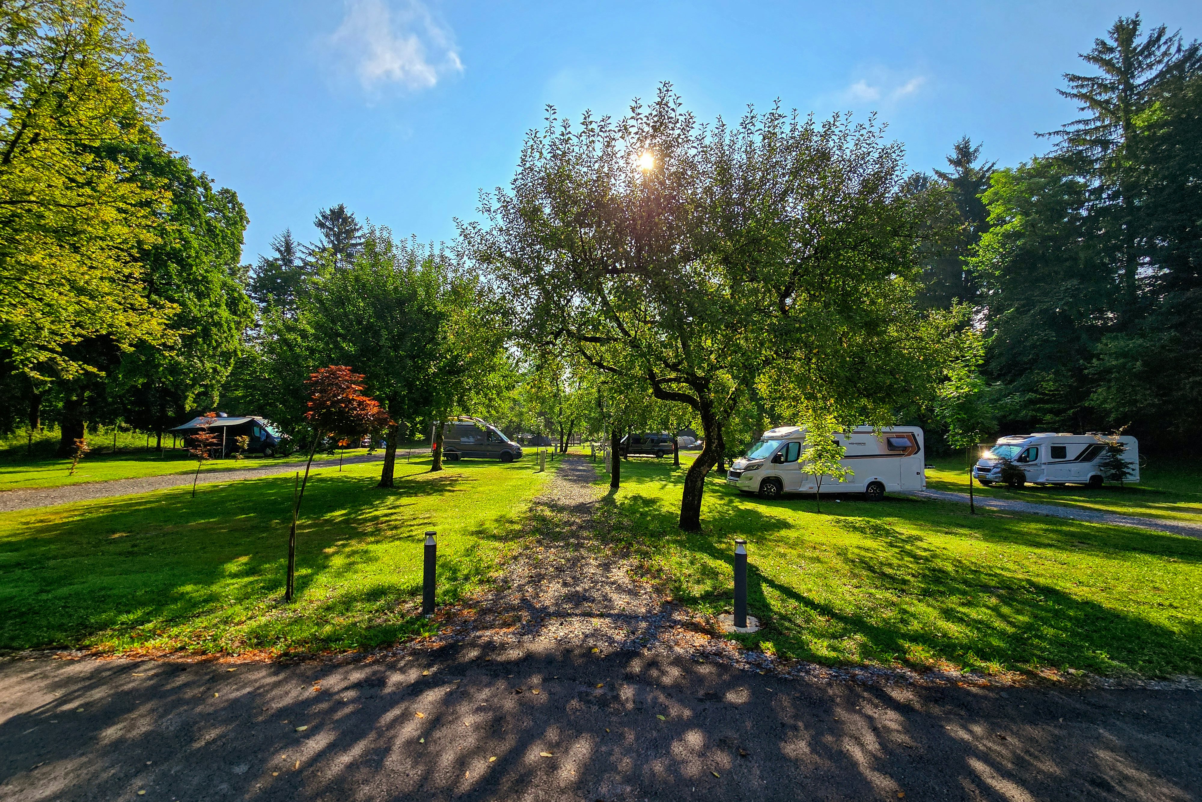 Kamp Savinja - Standplätze im Grünen auf dem Campingplatz