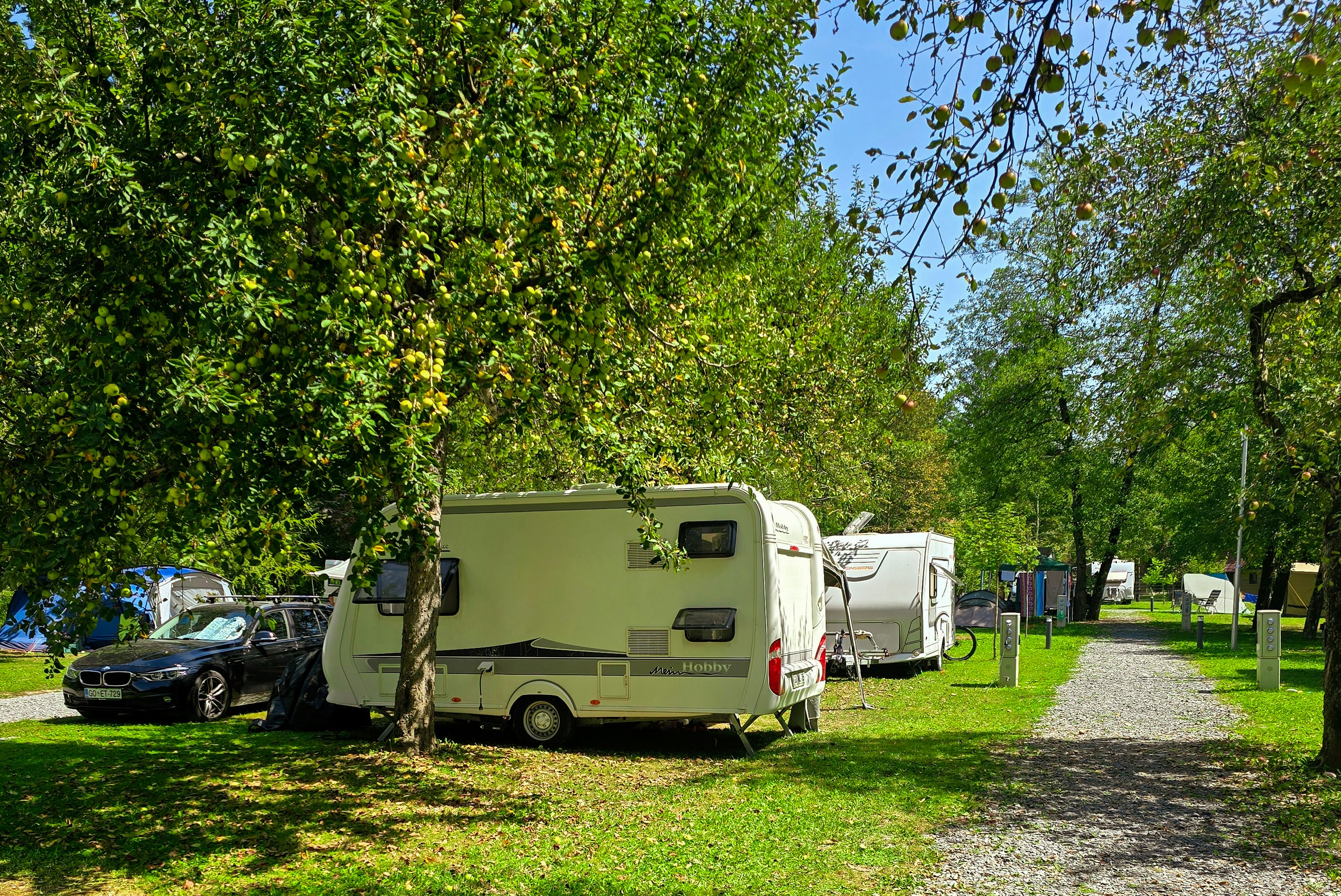 Kamp Savinja - Standplätze zwischen den Bäumen auf dem Campingplatz