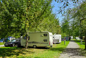 Kamp Savinja - Standplätze zwischen den Bäumen auf dem Campingplatz