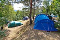 Kamp Tura - Zeltplätze im Schatten auf dem Campingplatz
