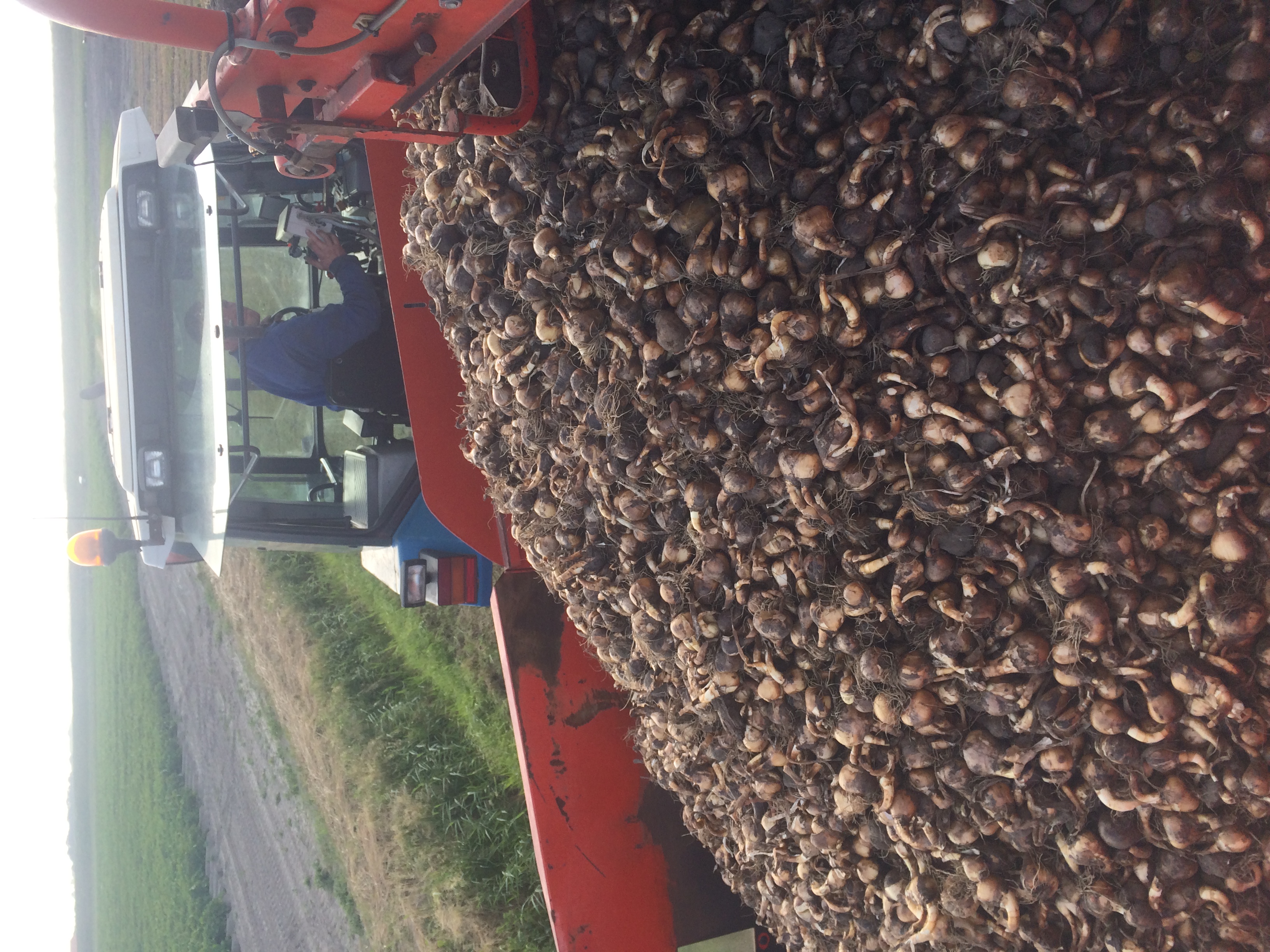 Kampeer & Logeerboerderij Madura