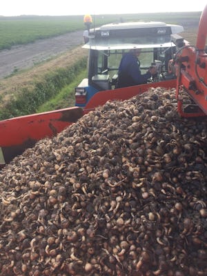 Kampeer & Logeerboerderij Madura