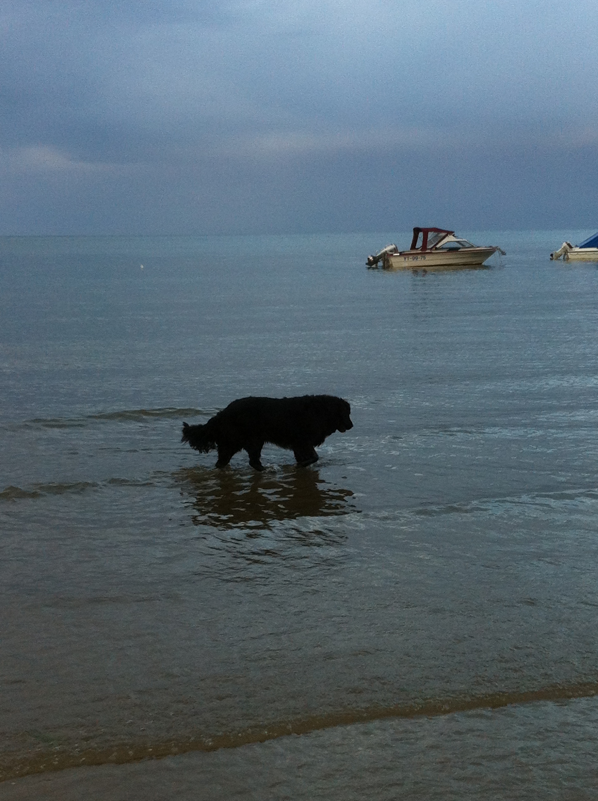 Kampeer & Logeerboerderij Madura