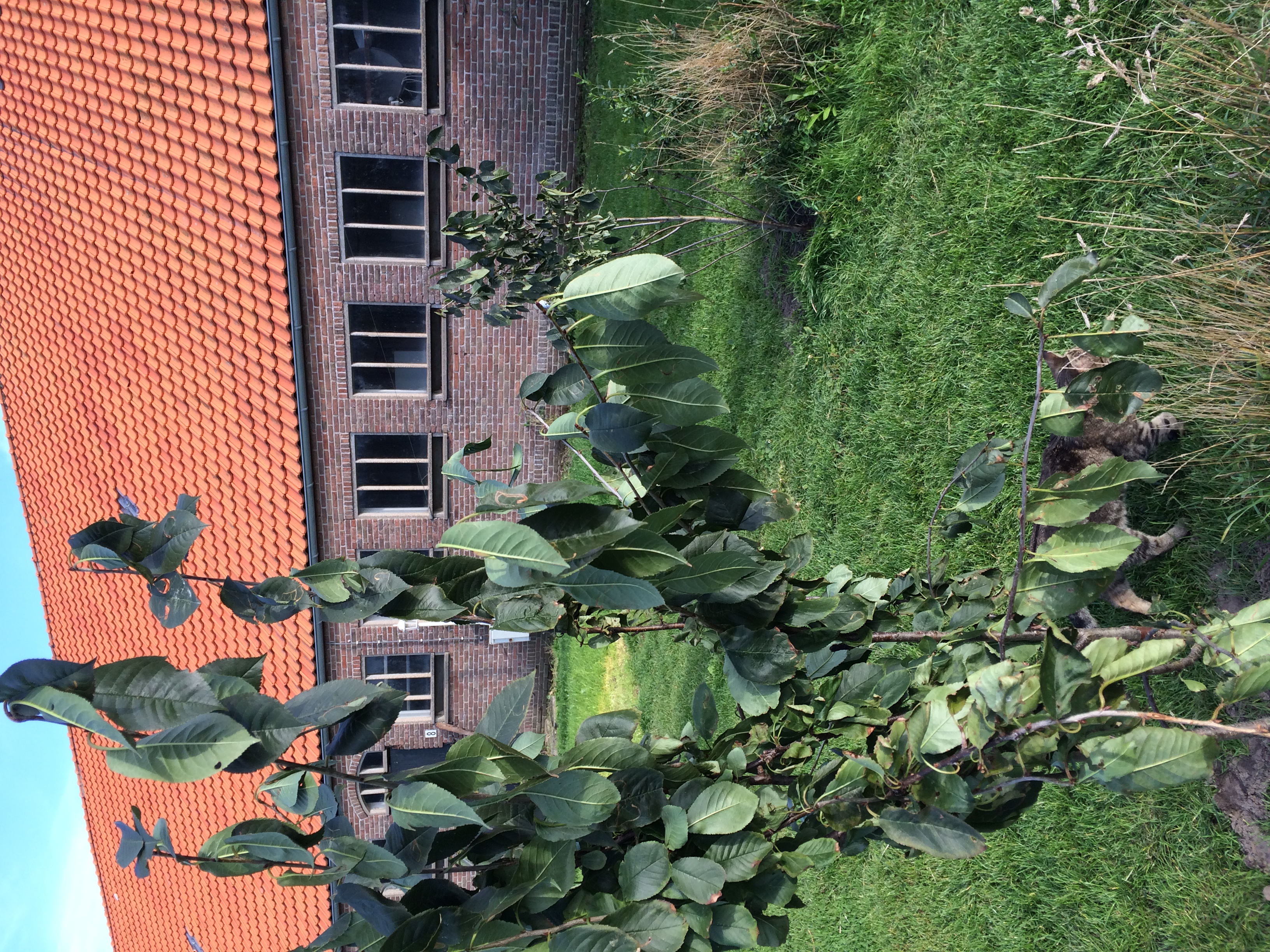 Kampeer & Logeerboerderij Madura