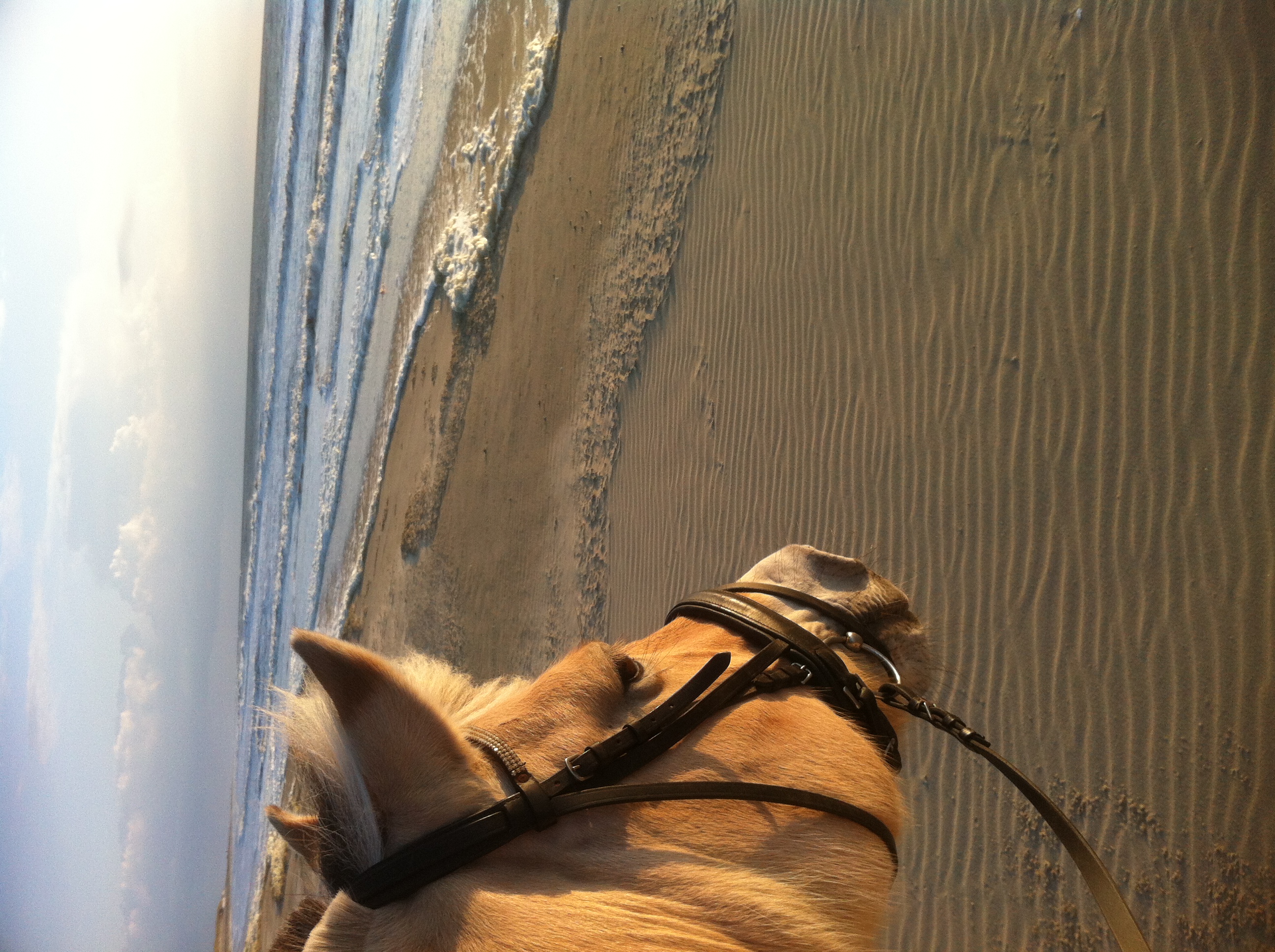 Kampeer & Logeerboerderij Madura