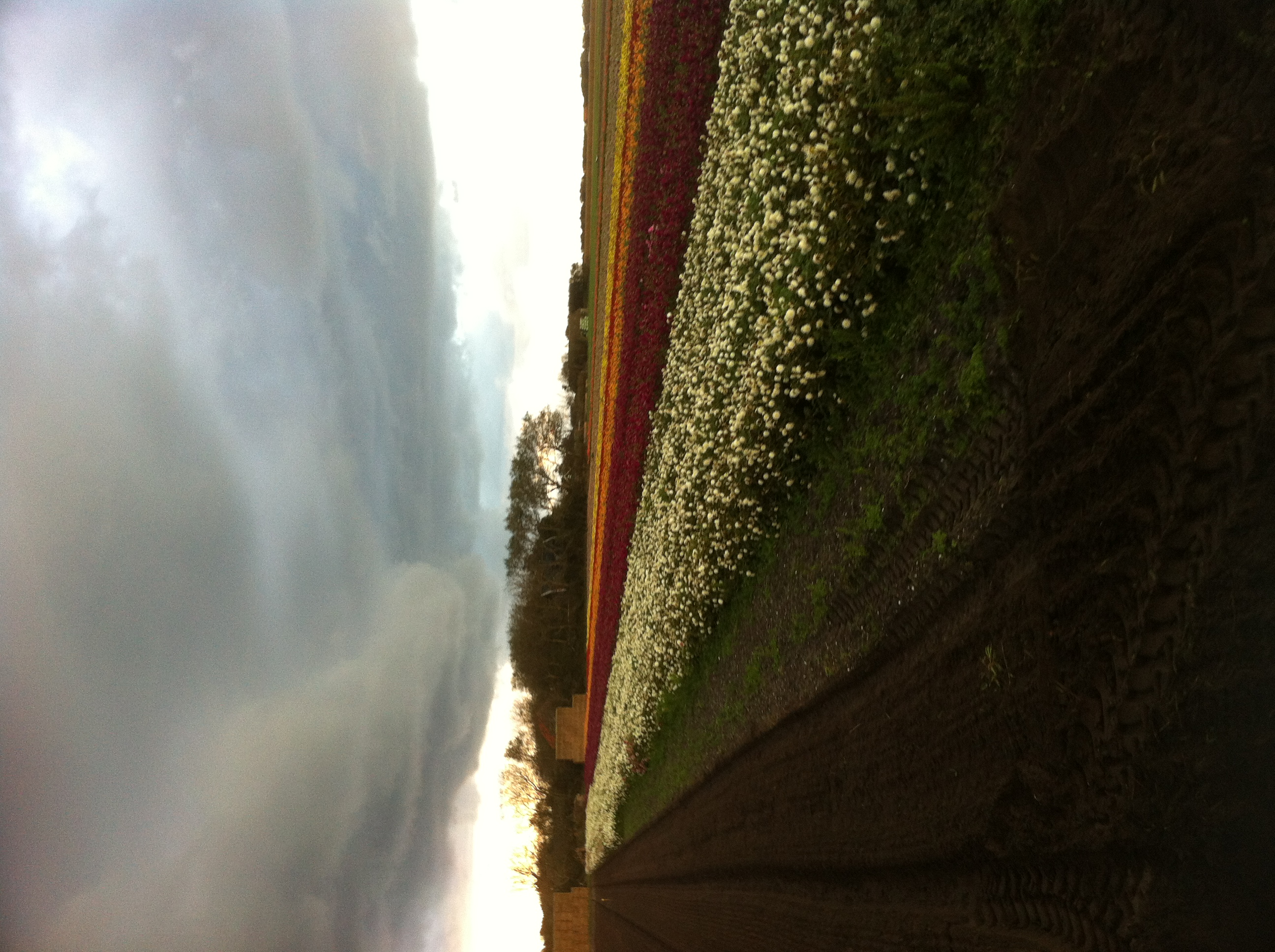 Kampeer & Logeerboerderij Madura