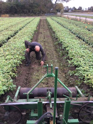 Kampeer & Logeerboerderij Madura
