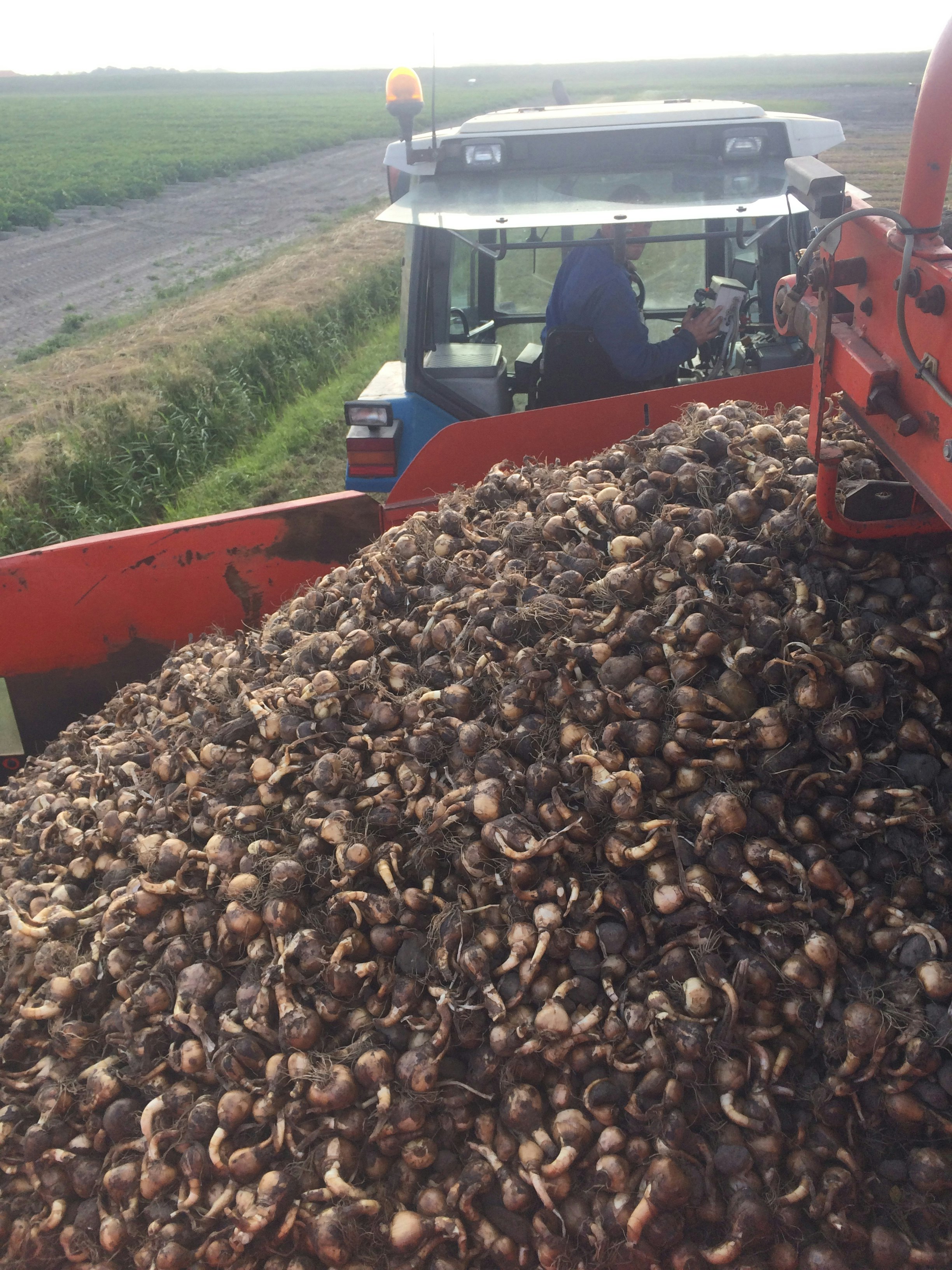 Kampeer & Logeerboerderij Madura