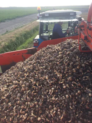 Kampeer & Logeerboerderij Madura