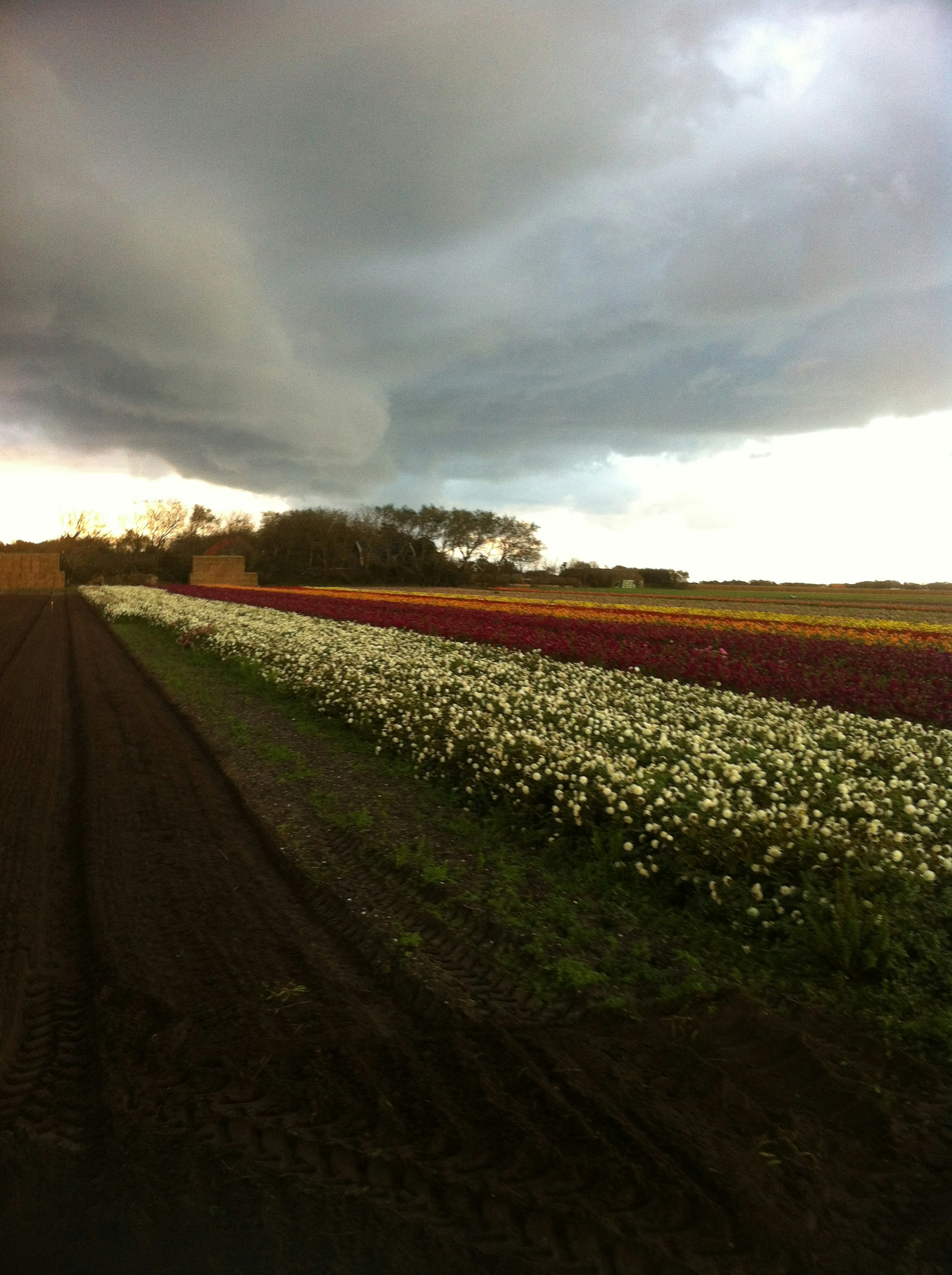 Kampeer & Logeerboerderij Madura