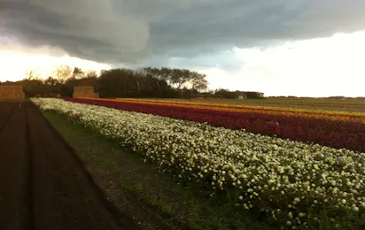 Kampeer & Logeerboerderij Madura