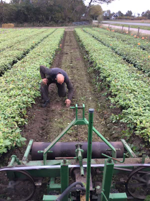 Kampeer & Logeerboerderij Madura