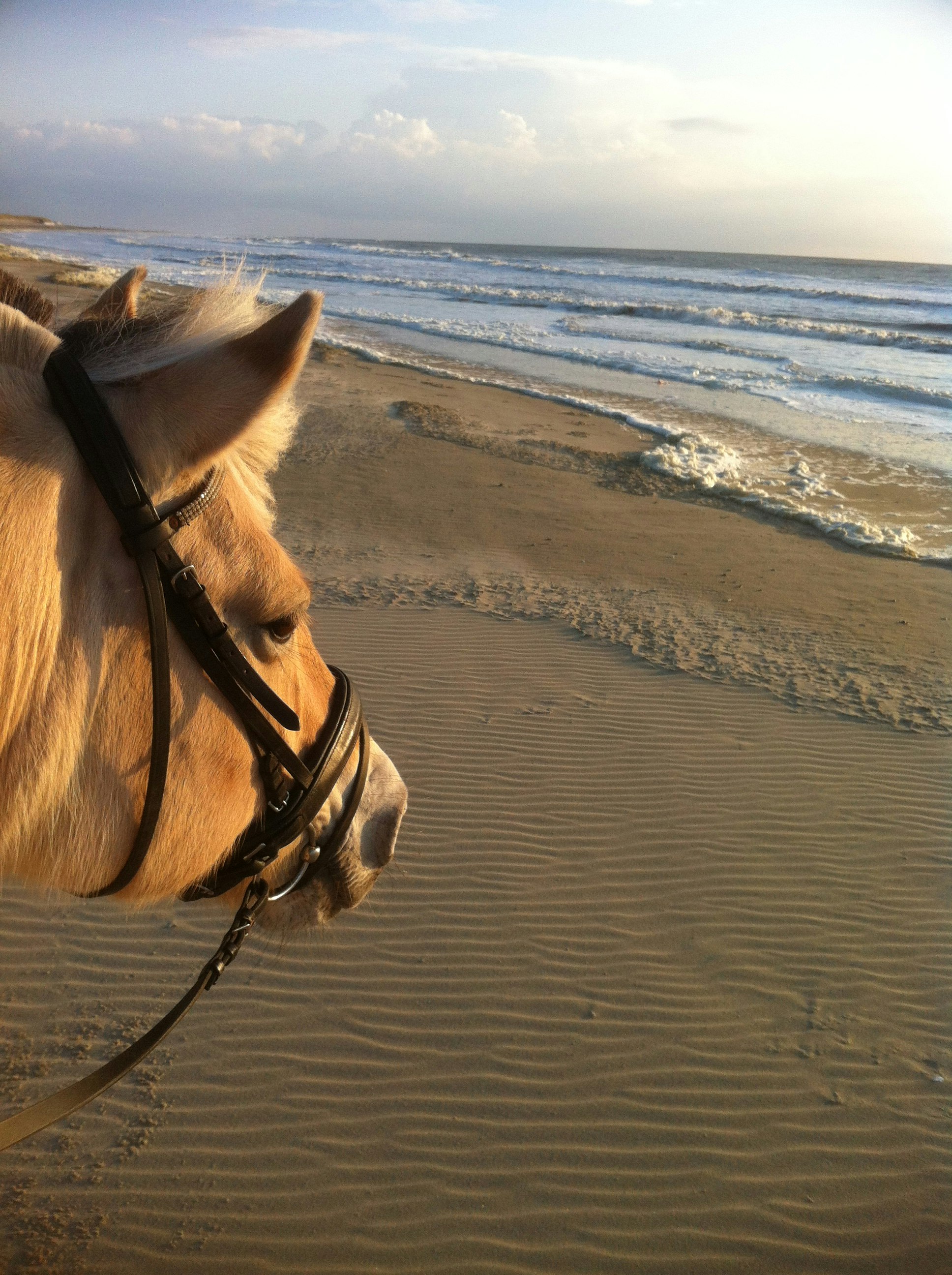 Kampeer & Logeerboerderij Madura