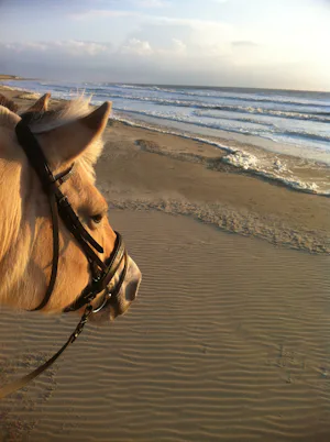 Kampeer & Logeerboerderij Madura