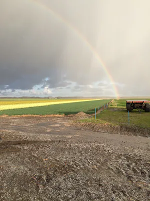 Kampeer & Logeerboerderij Madura