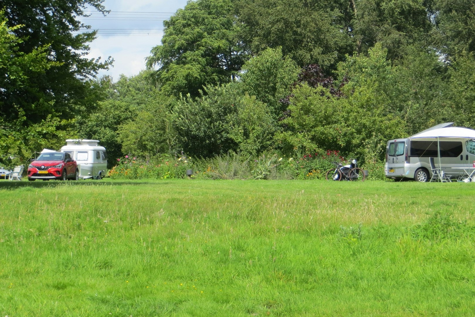 Kampeerboerderij De Baankreis - Standplatzwiese auf dem Campingplatz
